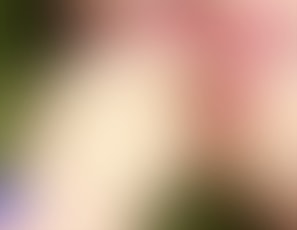 00373_FaggotChristmas