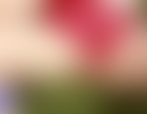 00373_FaggotChristmas