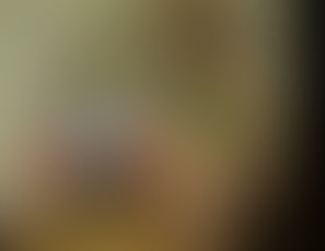 00449_PackingMaterials