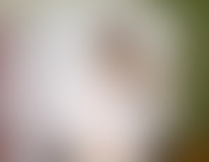 00455_Fireworks