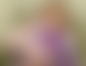 00977_SMDR